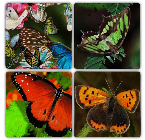 Kelebek Doğal Taş Bardak Altlıkları - BA095 görseli, Picture 1